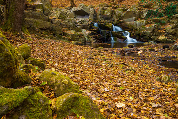 Flowing stream and waterfall in autumn forest
