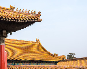 Details of roof and carvings in Forbidden City in Beijing