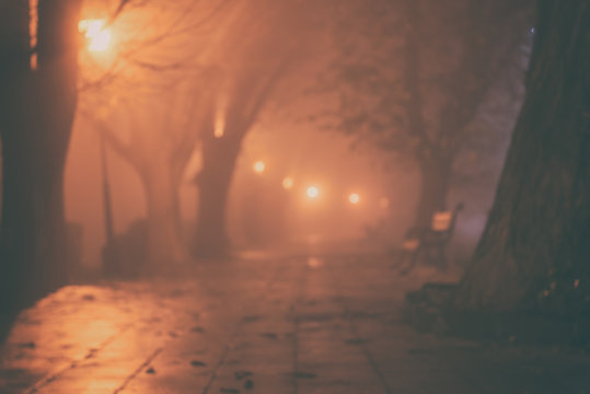Foggy alley in night city park, blurred defocused background with burning lanterns, trees and benches © larauhryn