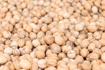 flooring walnuts in shell