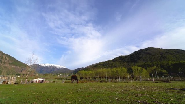 Lonely horse grazing quietly in a beautiful landscape with mountains in the background on sunny day. Trapa Trapa region Alto Biobio Chile. Flat plane