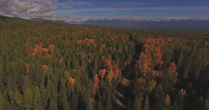 Aerial Drone Shot in Montana traveling down a dirt road in the Fall or Autumn