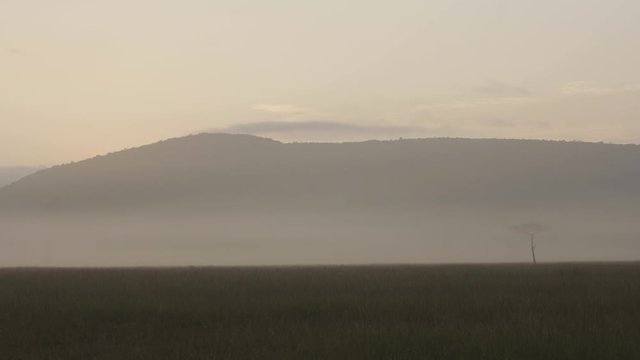 Mara Maasai national park mist rises from the landscape over a mountain in the background