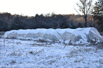 a greenhouse low tunnel in the snow