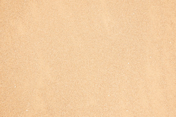 Sand background. Natural sea sand with small grains of white seashells.