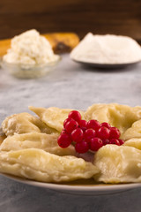Boiled dumplings stuffed with cottage cheese in a plate with berries viburnum, vertical.