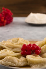 Dumplings in a plate with viburnum berries, vertical.