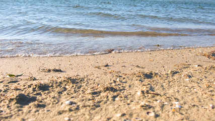 Beautiful sand beach with small waves in summer.