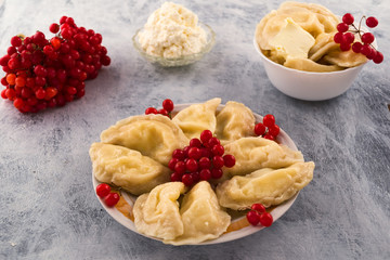 Boiled dumplings, beautifully laid on a plate with red viburnum berries, wooden background.