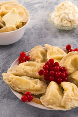 Portion of dumplings with cottage cheese on a plate, red viburnum berries, vertical, wooden background.