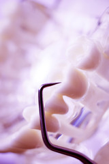 Dentist cleaning teeth