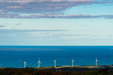 風車と水平線のある秋の日本海風景を秋の夕方い大山の麓から望む