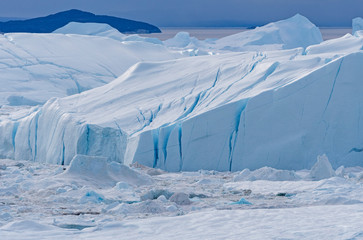 Icebergs Frozen in the Icefjord © wildnerdpix
