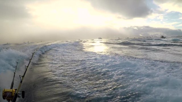 Start of the deep sea fishing tournament. All the boats are speeding to get to their fishing hole off of the coast of Oahu, Hawaii.