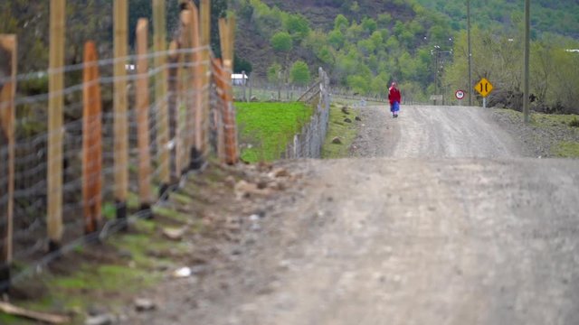 Mapuche community lady walking on dirt road in Trapa Trapa Alto Biobio. Chile. Flat plane