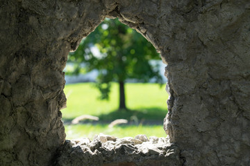 stone background with window and view of blurred green tree.