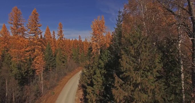 Aerial Drone Shot in Montana traveling down a dirt road in the Fall or Autumn