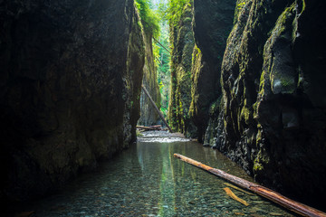 Oneonta Gorge in Oregon
