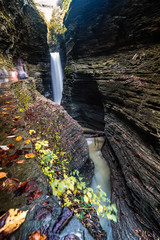 Fototapeta premium Watkins Glen Gorge Trail