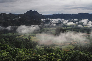 Landscape of Phu Lanka mountain forest park in Phayao province Thailand