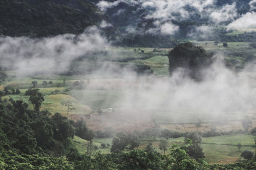 Fototapeta na wymiar Landscape of Phu Lanka mountain forest park in Phayao province Thailand