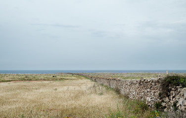 Fototapeta na wymiar Typical stone wall of the island of menorca, with the meadow and the mediterranean sea in the background.