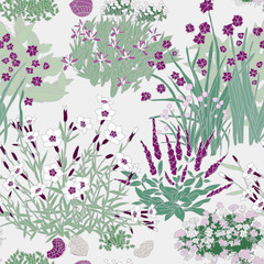 Herbs, Flowers, Rock garden - floral pattern. Hand drawn seamless vector pattern with clumps of  plants like dianthus, iris, chive, iris, iberis, salvia.
- 233842944