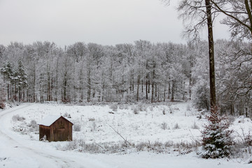 Litet trähus i snötäckt skogslandskap