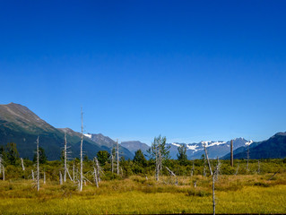 Scenic Alaskan Snow Capped Mountain View