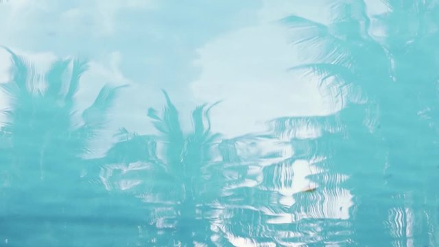 Cinematic footage. Abstract background video. Reflection of the palm trees at the swimming pool.