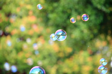 Soap bubbles floating in the air with natural green blurred bokeh background with copy space