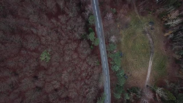 road forest roadway nature cars traffic street autumn asphalt