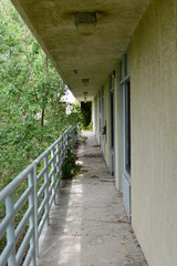 Roosevelt Roads overgrown housing