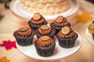 Obraz na płótnie Canvas chocolate decorated cupcakes
