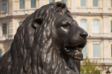Lion statue Trafalgar Square