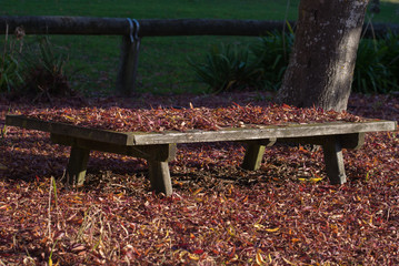 Autumn seat, red autumn leaves surround a wooden bench seat in the park