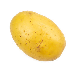 Fresh potato (Solanum tuberosum) isolated on white background