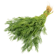 Fresh green dill (Anethum graveolens) isolated on the white background