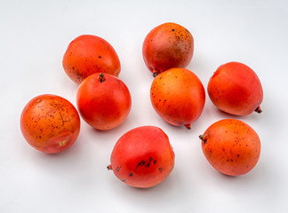 Foxtail palm fruit seeds Wodyetia bifurcata fresh ripened on white background