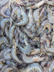 White shrimp selection in the market