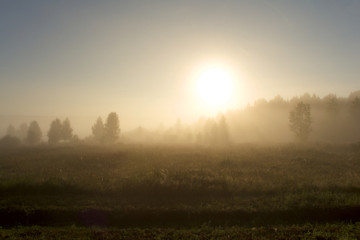 Sunrise in the fog