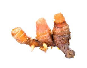 Finger root on white background