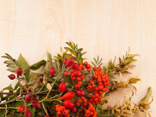 Autumn background from wild rose with hips and rowanberries on wooden base