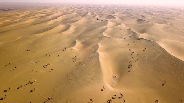 Dubai Al Qudra desert