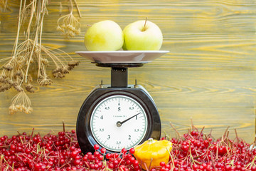 Жёлтые яблоки лежат на весах, на фоне укропа.