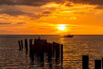 Fototapeta premium Old Pilings