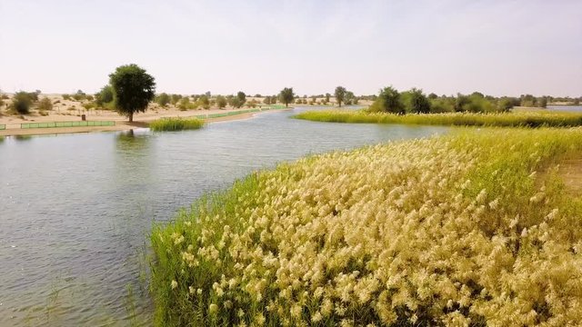 Al Qudra lake