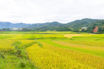 Fototapeta premium Beautiful view of rice terrace, mu cang chai, vietnam