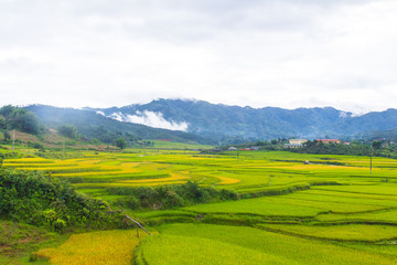 Obraz premium Beautiful view of rice terrace, mu cang chai, vietnam