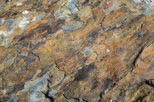The surface of rock